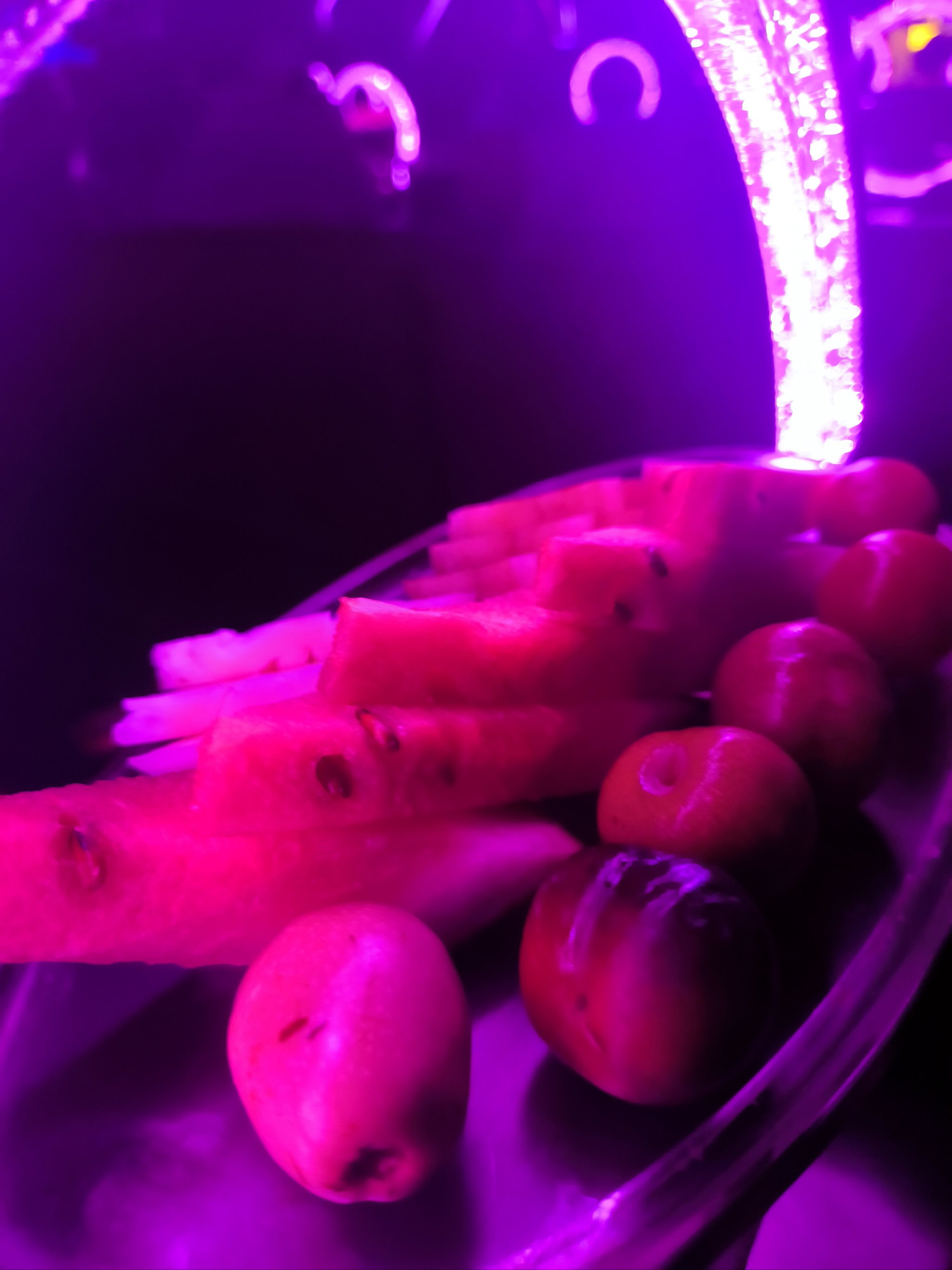 葫芦岛商务ktv信息一览-龙港区ktv预定